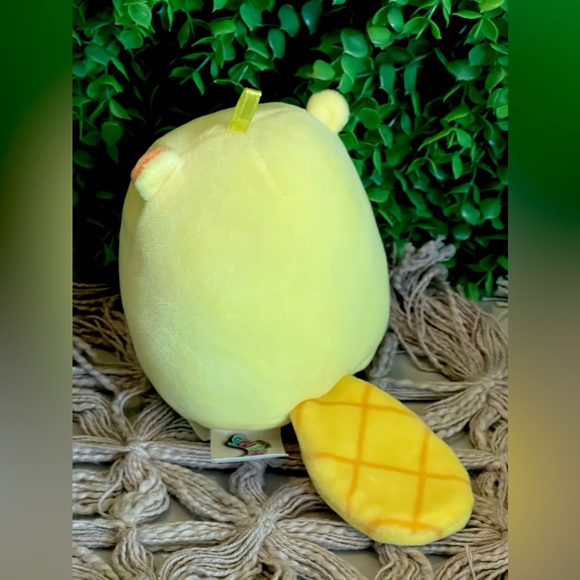 NEW Chip the Beaver Ornament (From Box Set) Squishmallows 4" - Picture 5 of 7
